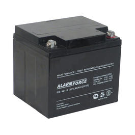Аккумулятор Alarm Force FB 40-12